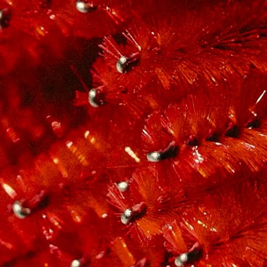 Abeauty lash maintenance package ✨ at Abeauty.esthetics in St. Louis, MO